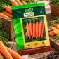 Carrot Nantes F1 Hybrid HAS-2076 – Hara Agri Seeds