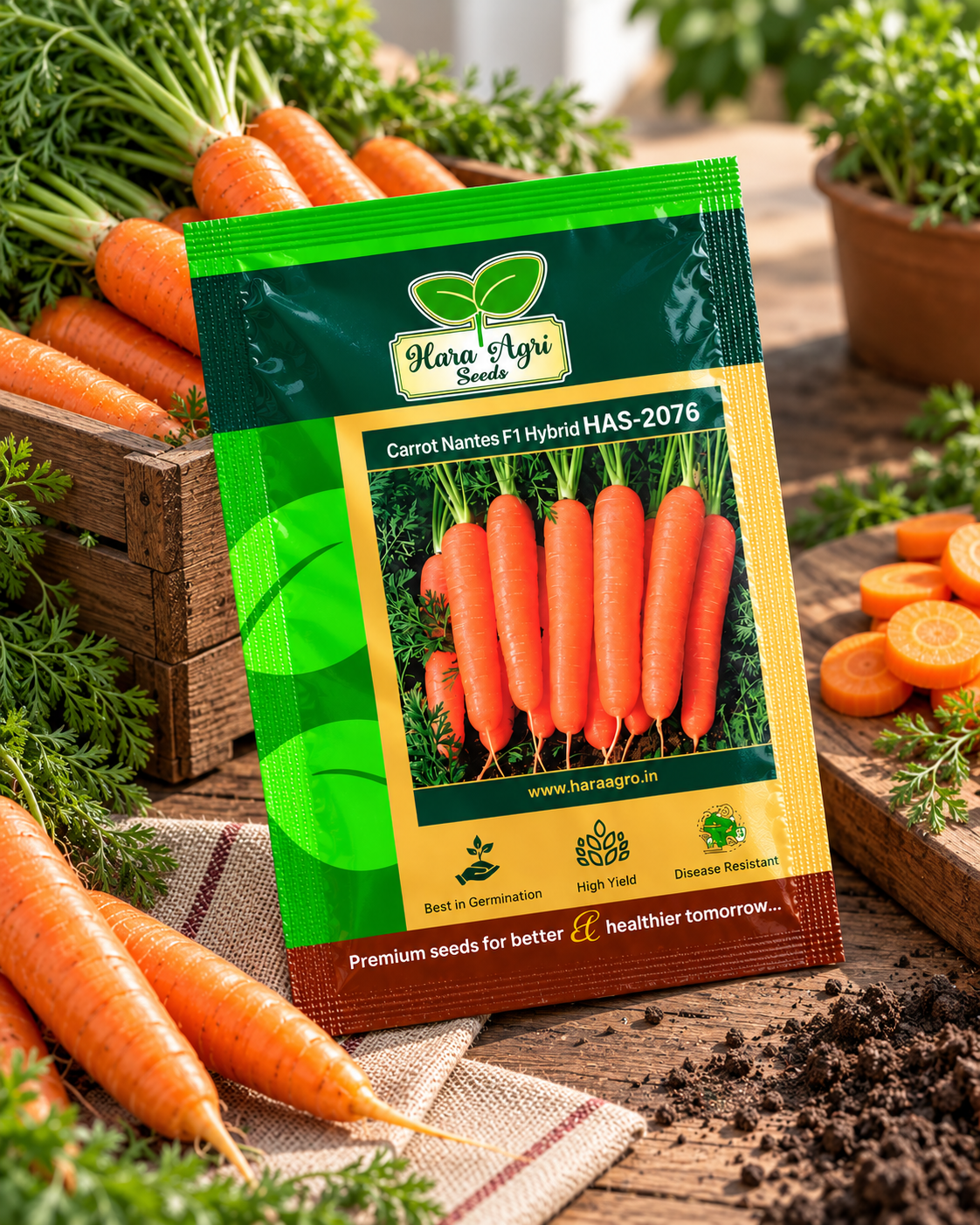 Carrot Nantes F1 Hybrid HAS-2076 – Hara Agri Seeds