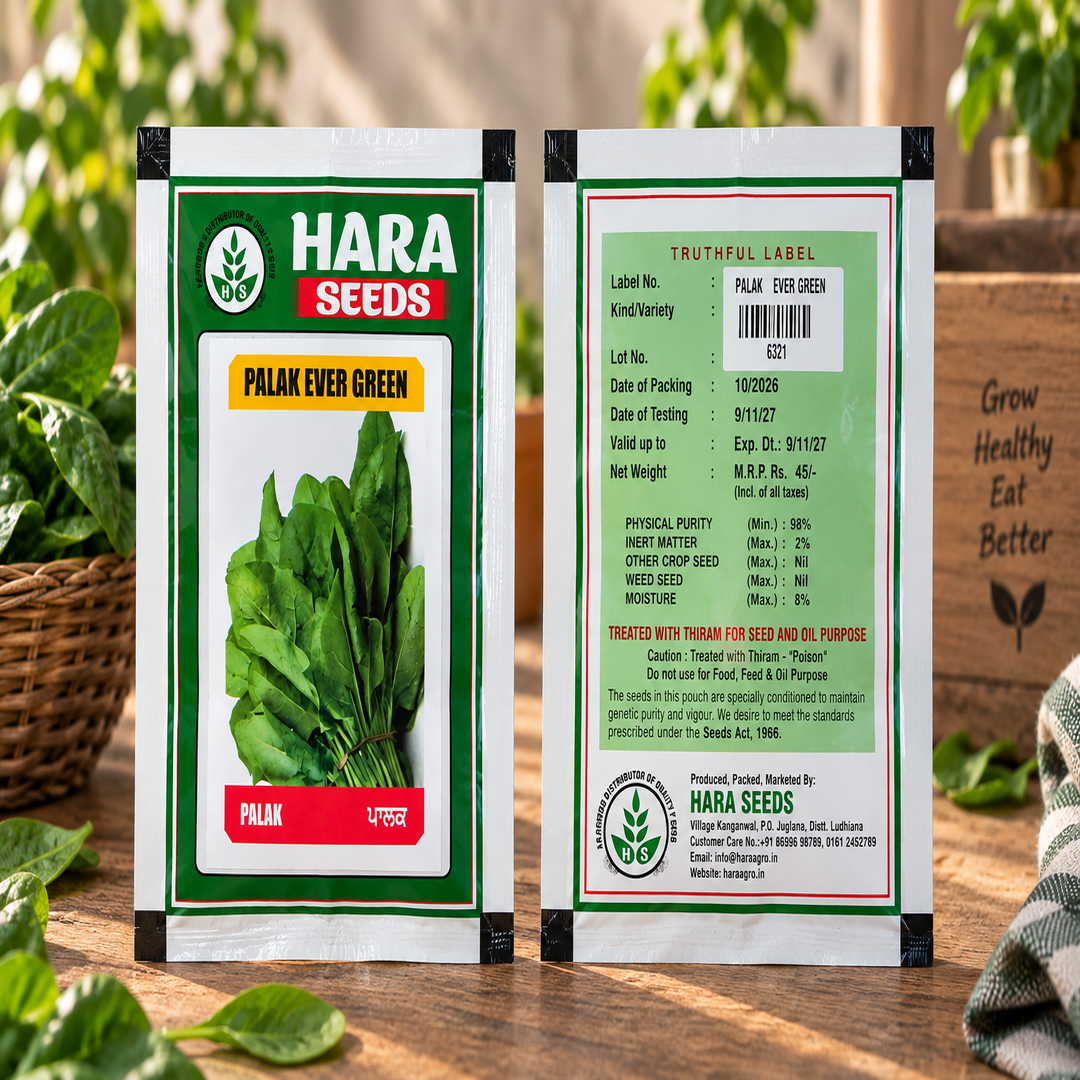 Hara Seeds Palak Ever Green Vegetable Seeds for Home Garden & Kitchen Garden – Fresh Green Spinach Seeds for Direct Sowing