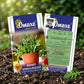 Premium Rocket Arugula Wild Cut Seeds for Leafy Salad Farming & Kitchen Gardening in India