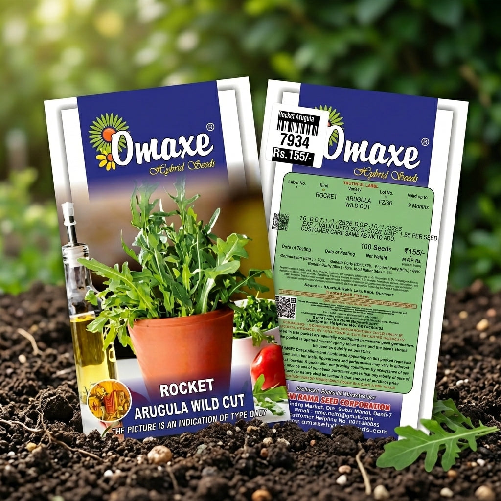 Premium Rocket Arugula Wild Cut Seeds for Leafy Salad Farming & Kitchen Gardening in India