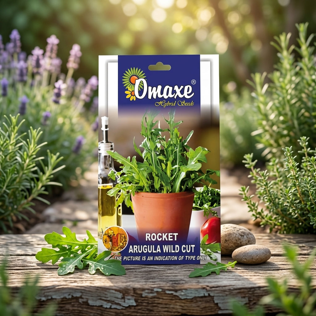 Premium Rocket Arugula Wild Cut Seeds for Leafy Salad Farming & Kitchen Gardening in India